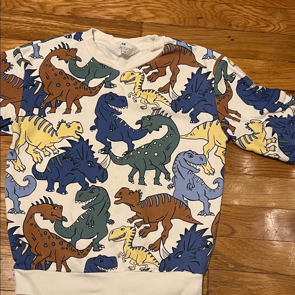 H&M Multicolor Dinosaur Kids Sweatshirt